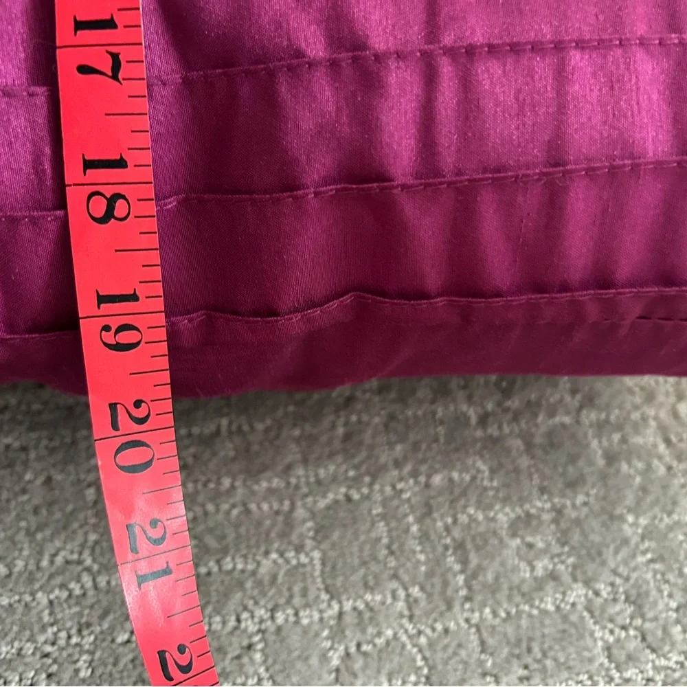 NWT Fuchsia Throw Pillow Set of 2 Pink 20x20 New Toss Pillows Satin Stripes